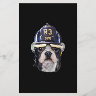 Cute Fransk Bulldog under Firefighter Helmet Flygblad