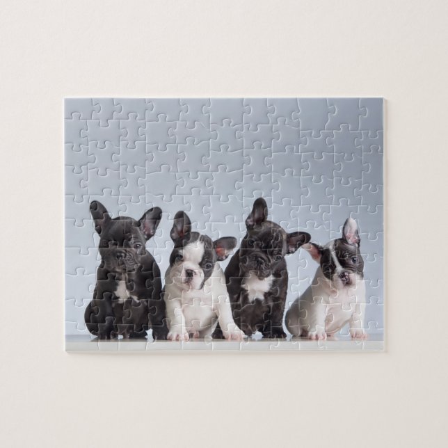Cute Fransk Bulldog-valpar Pussel (Horisontell)