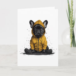 Cute Fransk Bulldog Wearing Rainrock Kort