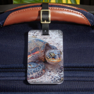 Cute Friendly Hawaiian Sea Turtle Honu Photo Bagagebricka