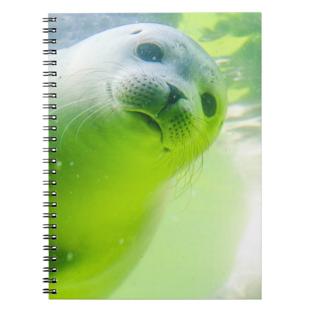 Cute Friendly Seal Underwater Anteckningsbok (Framsidan)