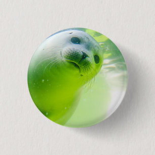 Cute Friendly Seal Underwater Knapp