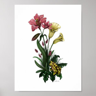 Cute Frog bland lilies Botanical Blommigt Art Poster