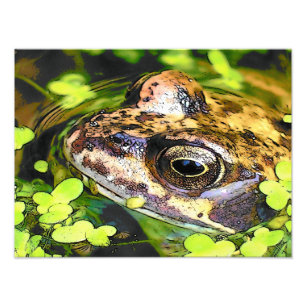 CUTE FROG FOTOTRYCK