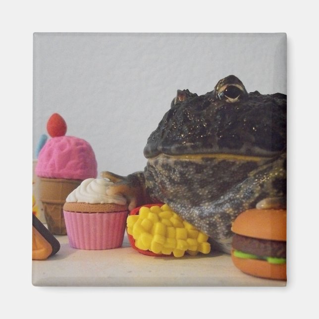 Cute Frog Magnet (Framsidan)
