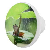 Cute Frog på Lily Beval Grönt Nature