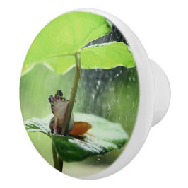 Cute Frog på Lily Beval Grönt Nature Knopp