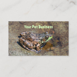 Cute Frog på Sten i Vatten Visitkort