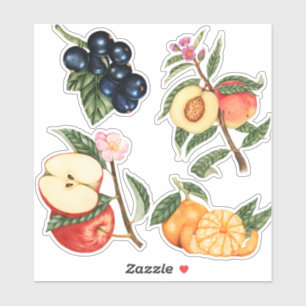 Cute Frukt Klistermärken