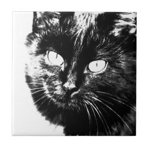 Cute Funky Black and White Cat Kitten Sketch Kakelplatta