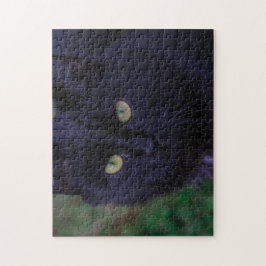 Cute Funky Black Cat Kitten Ansikte Pussel