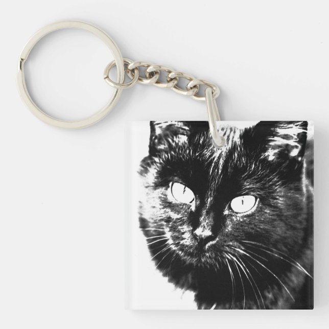 Cute Funky Black Cat Kitten Öga Sketch (Framsidan)