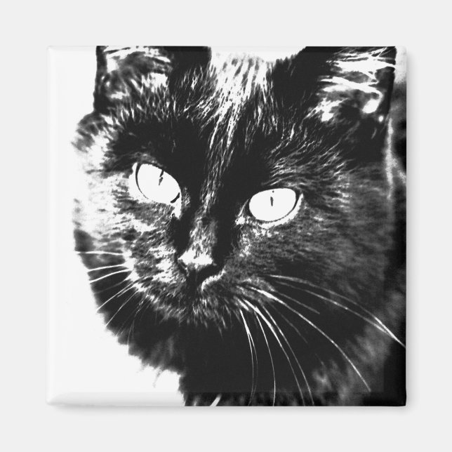 Cute Funky Black Cat Kitten Öga Sketch Magnet (Framsidan)