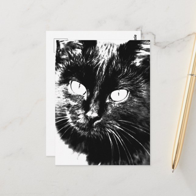 Cute Funky Black Cat Kitten Öga Sketch Vykort (Fram/Back In Situ)