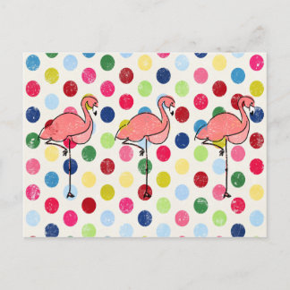 Cute Funky Flamingos Colorful Polka dots Vykort