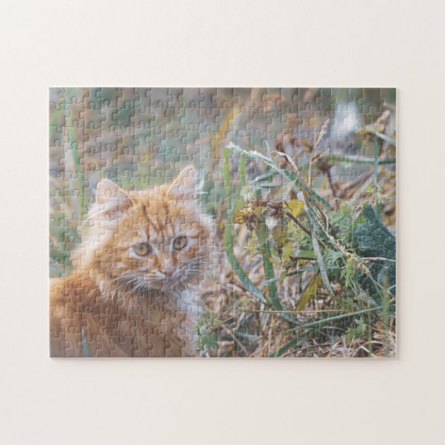 Cute Funky Ginger Cat Kitten Ansikte Grass Pussel (Horisontell)