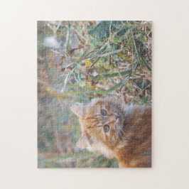 Cute Funky Ginger Cat Kitten Ansikte Grass Pussel