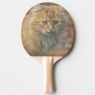 Cute Funky Ginger Cat Kitten Ansikte Pingisracket