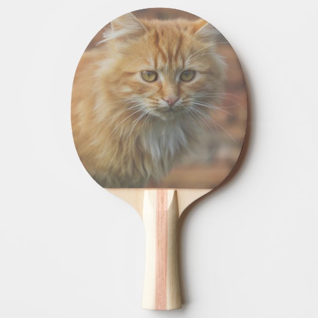 Cute Funky Ginger Cat Kitten Ansikte Pingisracket (Framsidan)