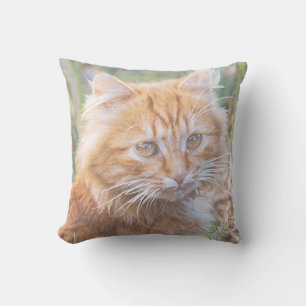Cute Funky Ginger Cat Kitten Painting Kudde