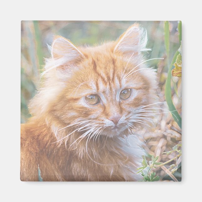 Cute Funky Ginger Cat Kitten Painting Magnet (Framsidan)