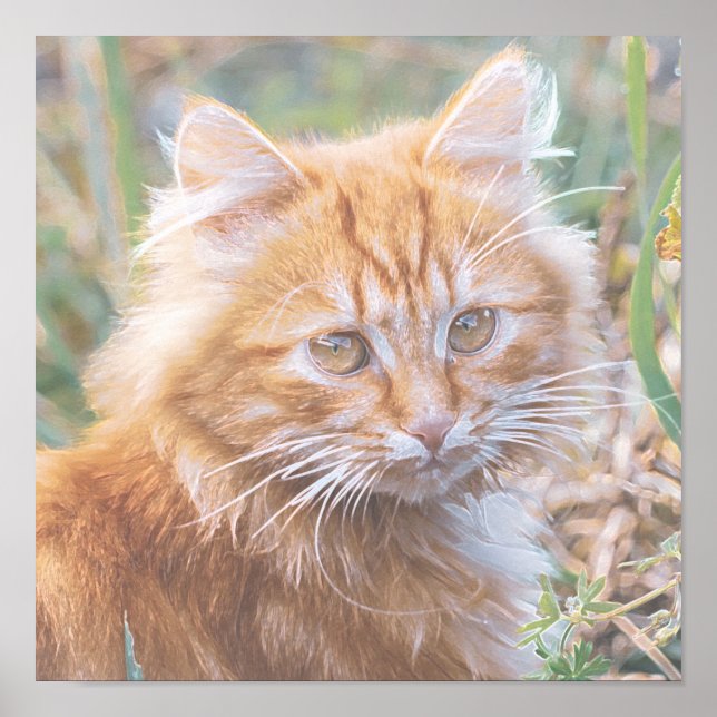 Cute Funky Ginger Cat Kitten Painting Poster (Framsidan)