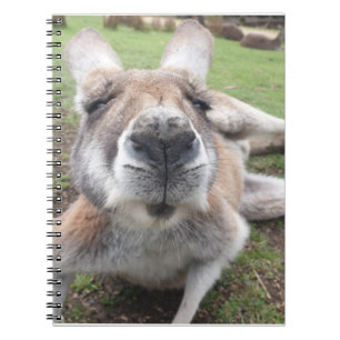 Cute Funny Ansikte Kangaroo Educational Animal Pho Anteckningsbok