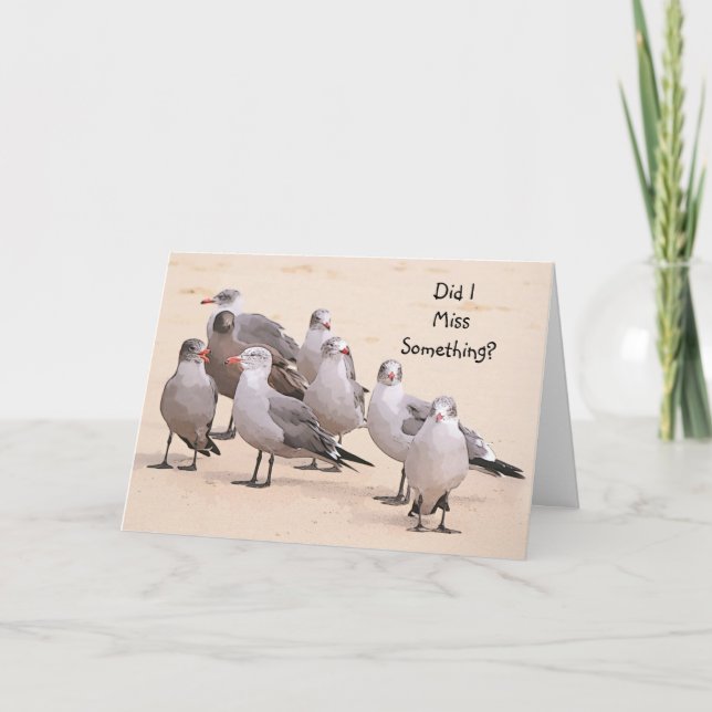 Cute Funny Belet Birthday Sea Gull Card Kort (Framsida)