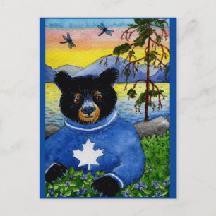 Cute Funny Black Bear Algonquin Park-vykort Vykort