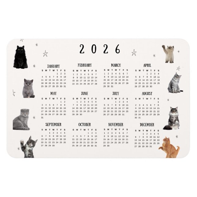 Cute Funny Cat 2026 Calendar Magnet (Horisontell)