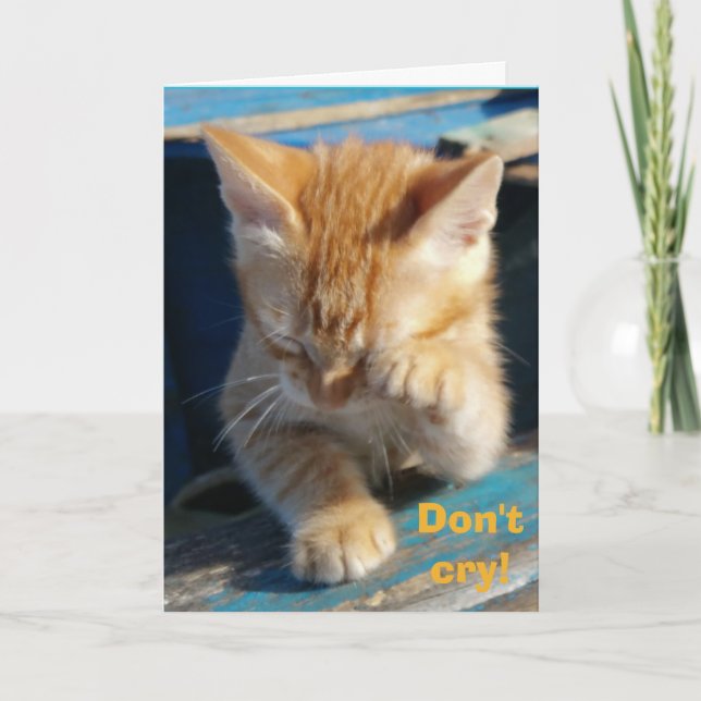 Cute Funny Cat Grattis på födelsedagen-hälsningsko Kort (Framsida)