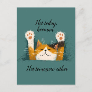 Cute Funny Cat Nap Helg Vykort