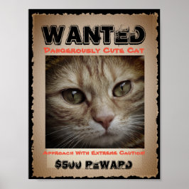 Cute Funny Cat Wanted Bild Poster