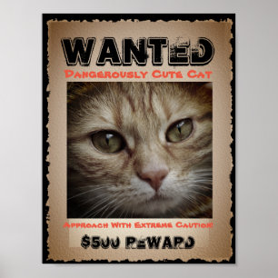 Cute Funny Cat Wanted Bild Poster