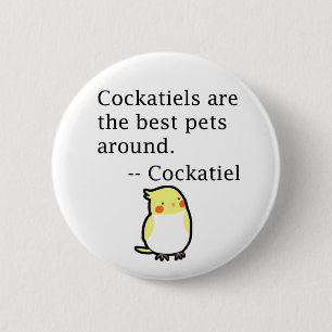 Cute Funny Cockatiel Sstickande Cockatiel Älskare Knapp