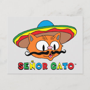 Cute Funny Colorful Tecknad Cat Cinco de Mayo Vykort