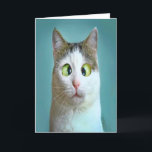 Cute Funny Crazy Cat Birthday Card Helgkort<br><div class="desc">Cute Lusnyj Crazy Cat Birthday Card av HUMOR-hälsningskortet.</div>