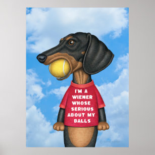 Cute Funny Dachshund med Tennis Boll i Mouth Poster