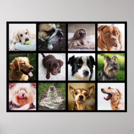 Cute & Funny Dogs Photo Collage Poster 1