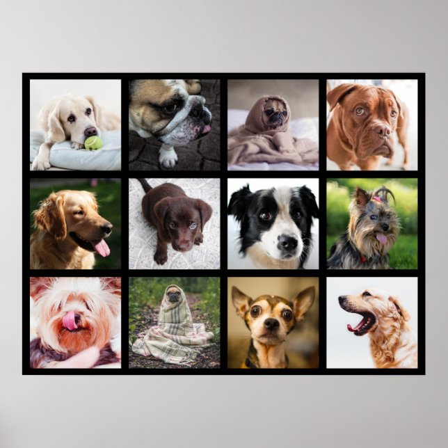 Cute & Funny Dogs Photo Collage Poster 1 (Framsidan)