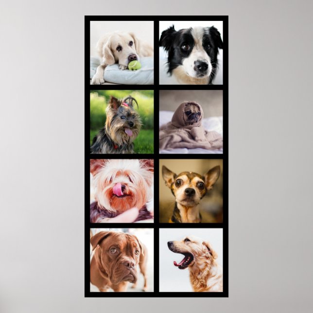 Cute & Funny Dogs Photo Collage Poster 2 (Framsidan)
