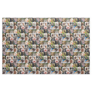 Cute & Funny Dogs Photo Collage tyg