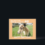 Cute Funny Goat Humor Anpassningsbar Birthday Vykort<br><div class="desc">Cute-geten i en lush grönt-pastor ser ut från kortet på dig och skickar hennes lustiga födelsedag humor: "Du ser inte den där baaaa'd för "Ditt födelsedag"! Baksidan av vykortet säger: "Just Kidding... . - Du ser fantastisk ut och jag hoppas att du har den bästa födelsedagen någonsin!" eller anpassa dig...</div>