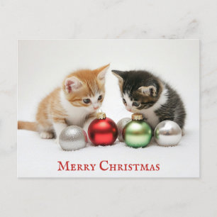 Cute Funny God jul Kitten Cat Vykort