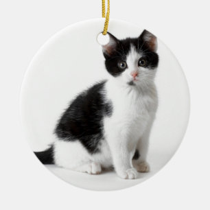 Cute Funny hårig kattunge svartvit katt Julgransprydnad Keramik