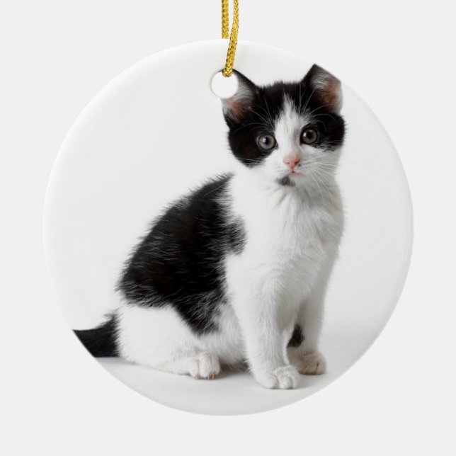 Cute Funny hårig kattunge svartvit katt Julgransprydnad Keramik (Framsidan)