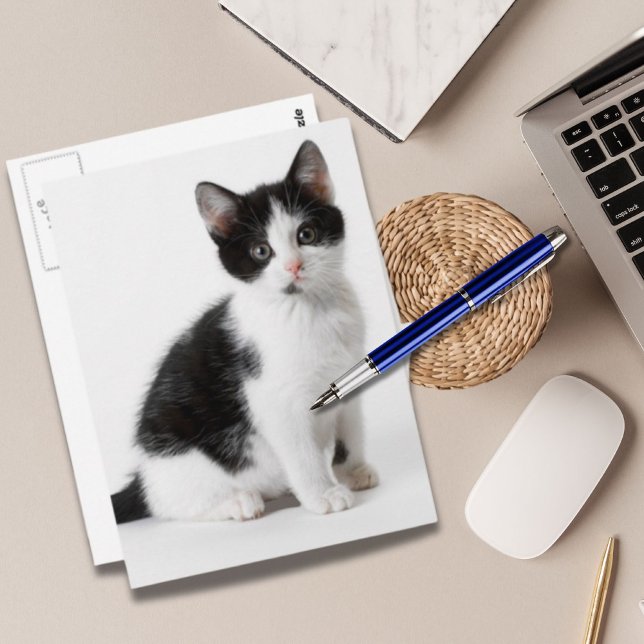 Cute Funny hårig kattunge svartvit katt Vykort (Cute Funny furry kitten black and white cat Postcard)