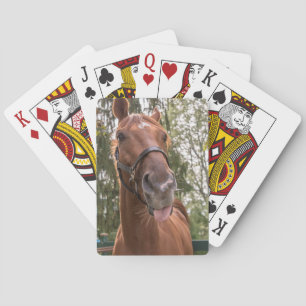 Cute Funny Horse Photograph Casinokort