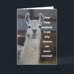 Cute Funny Humous Llama Birthday Kort<br><div class="desc">Här är ett humoristiskt,  roligt sätt att säga grattis på födelsedagen till någon speciell som kärlek lamas. Texten på detta kort är helt och hållet anpassade,  så att man kan säga spelar ingen roll som man vill. Du kan till och med använda kortet för något annat än födelsedagar. Njut!</div>