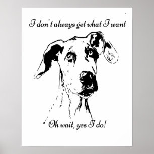 Cute Funny Hund-citatet från Great dane, förstört Poster